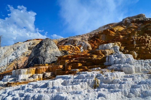 Yellowstone Instagram Captions