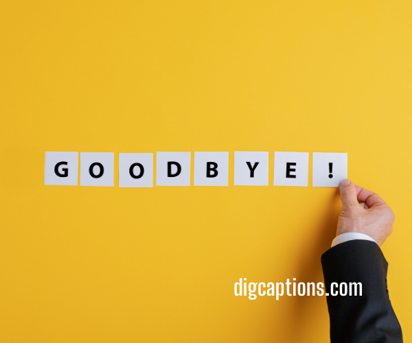 Never Say Goodbye to Friend Captions and Quotes