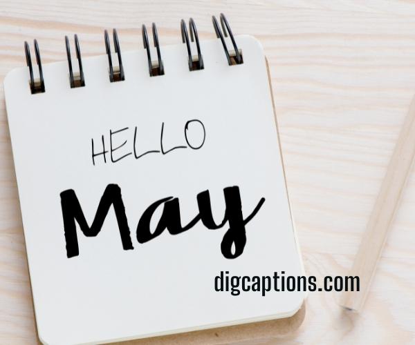 Cheers to New Month of May Captions and Quotes