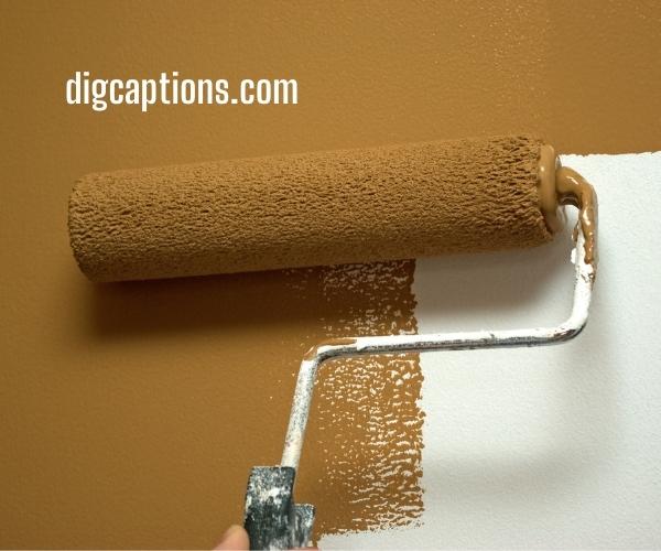 Decorative Paint Rollers Wall Captions and Quotes for Instagram