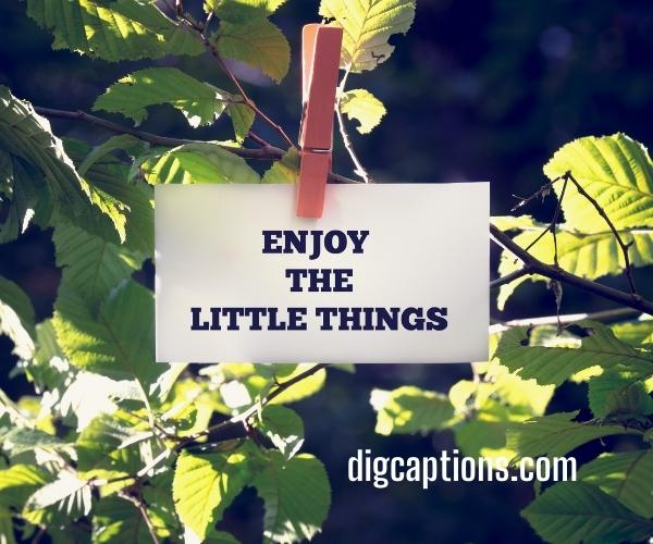Enjoy the Little Things Captions and Motivation