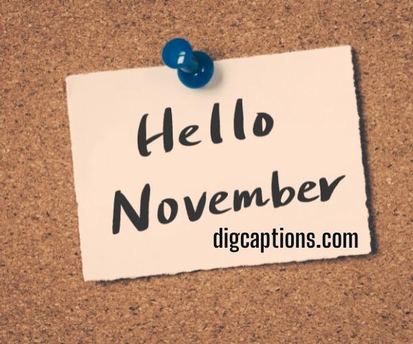 Cheers to New Month of November Captions and Quotes