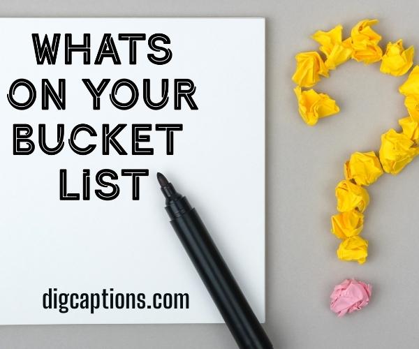 Bucket List Quotes Funny Captions for Instagram