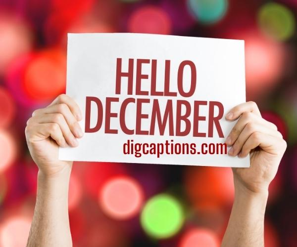 Cheers to New Month of December Captions and Quotes