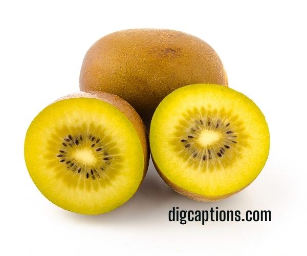 Kiwi Fruit Quotes and Captions for Instagram