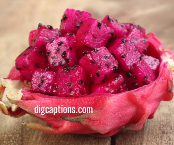 Dragon Fruit Quotes and Captions for Instagram