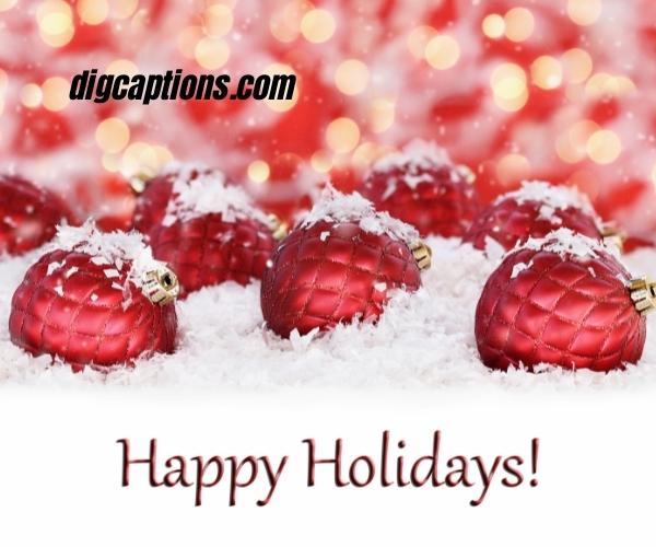 Happy Holidays Thank You Quotes and Captions for Instagram