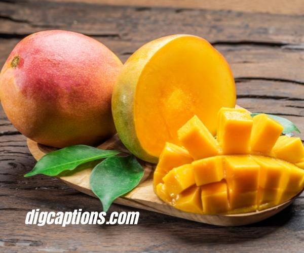 Yummy Mango Fruit Captions for Instagram With Quotes