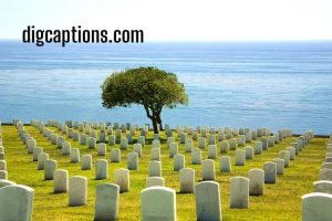 Cemetery Captions for Instagram With Quotes