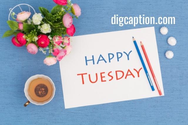 Welcome Tuesday Blessing Captions for Instagram With Quotes