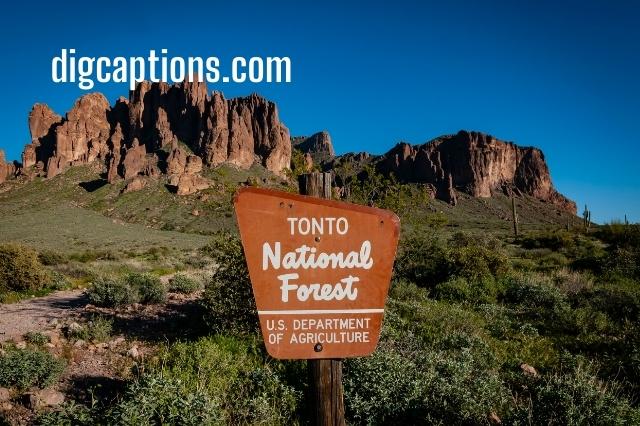 Tonto National Forest Captions for Instagram