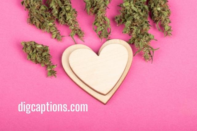Stoner Love Quotes and Captions for Instagram