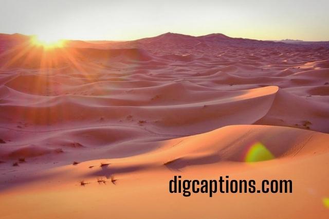 Sahara Desert Captions for Instagram