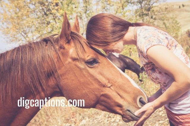Animal Lovers Captions for Instagram With Quotes