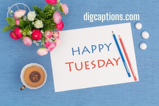 Positive Tuesday Quotes and Captions for Instagram