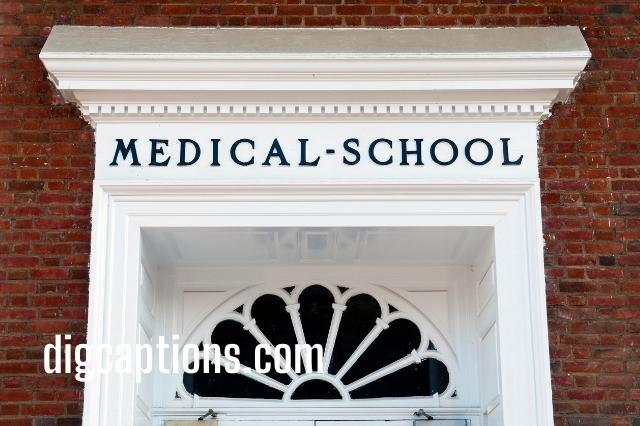 Medical Student School Bio for Instagram