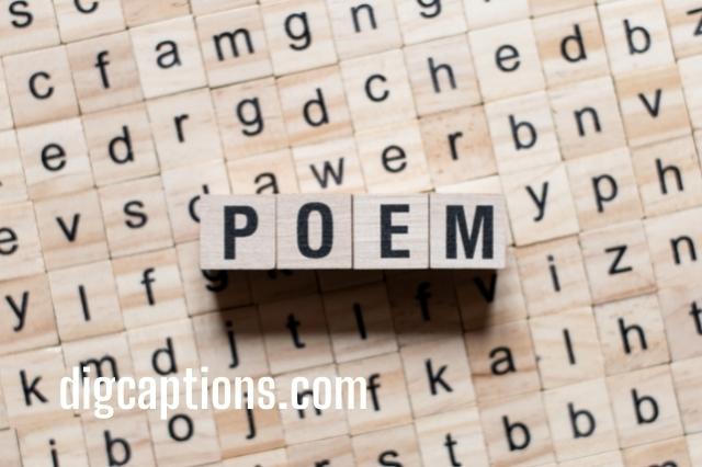 Captions for Short Funny Poems for Adults